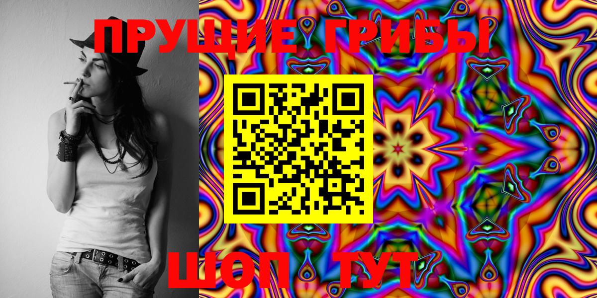 Будённовск  Галлюциногенные грибы Magic Shrooms  Вход с VPN 