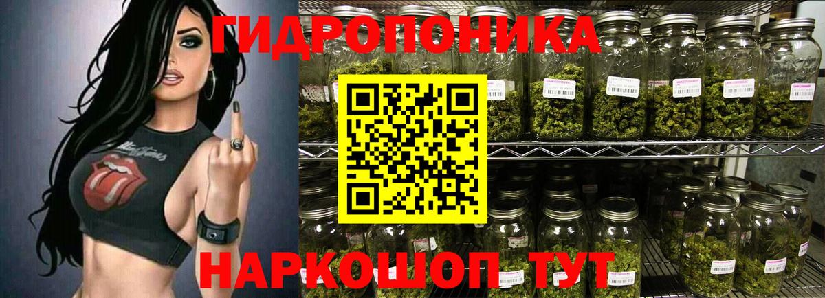Бошки марихуана White Widow Будённовск